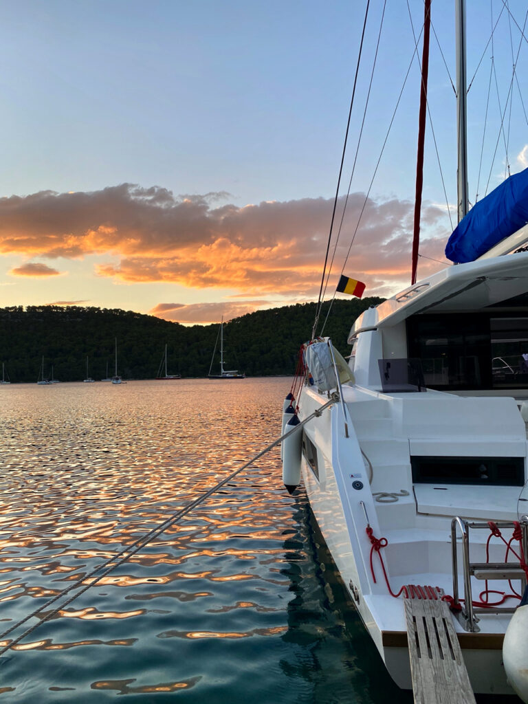 Cat AnnA sunset 4