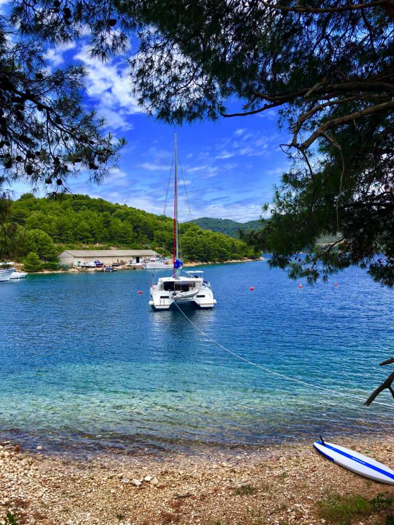 Cat AnnA anchored